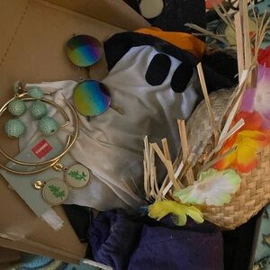 Halloween Decor & Costume